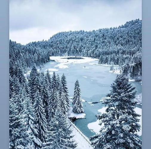 Le Moulin De L Epine * Taintrux