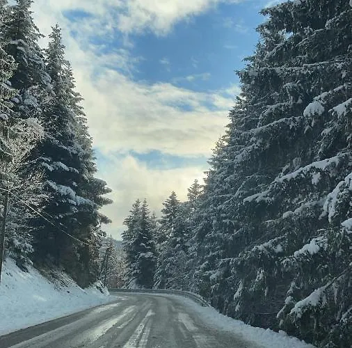 Le Moulin De L Epine 度假居