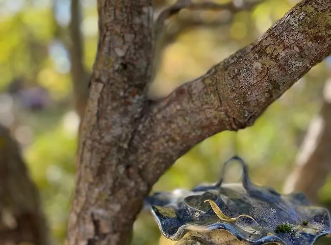 Le Moulin De L Epine 度假居 *